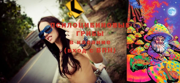 МДПВ Белокуриха