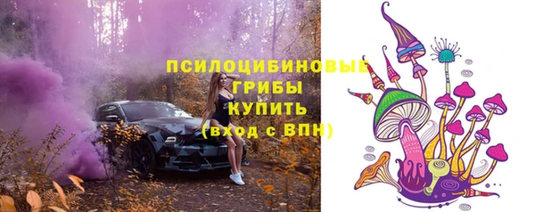 МДПВ Белокуриха